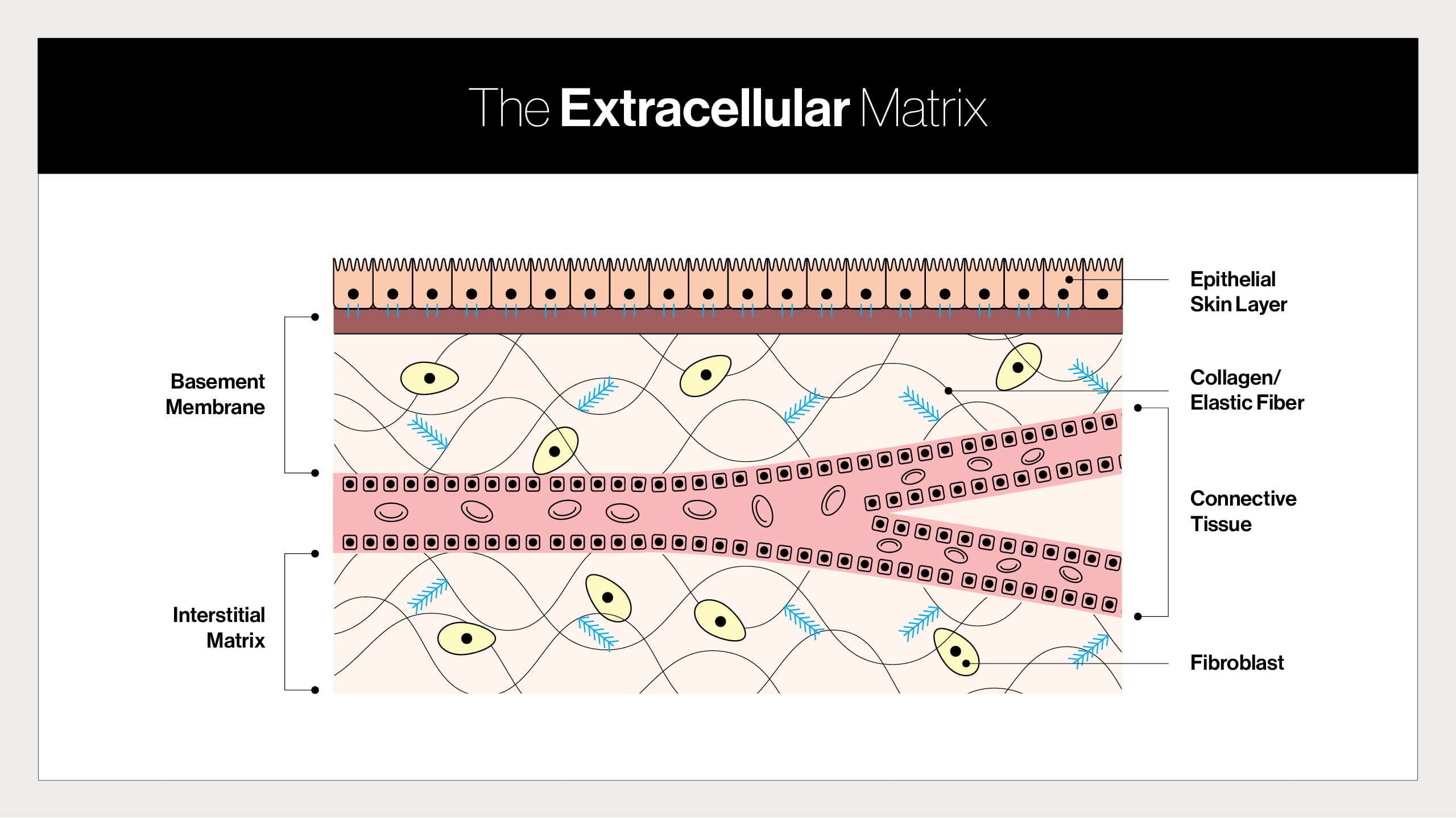 EverGlow Insider Guide page 3