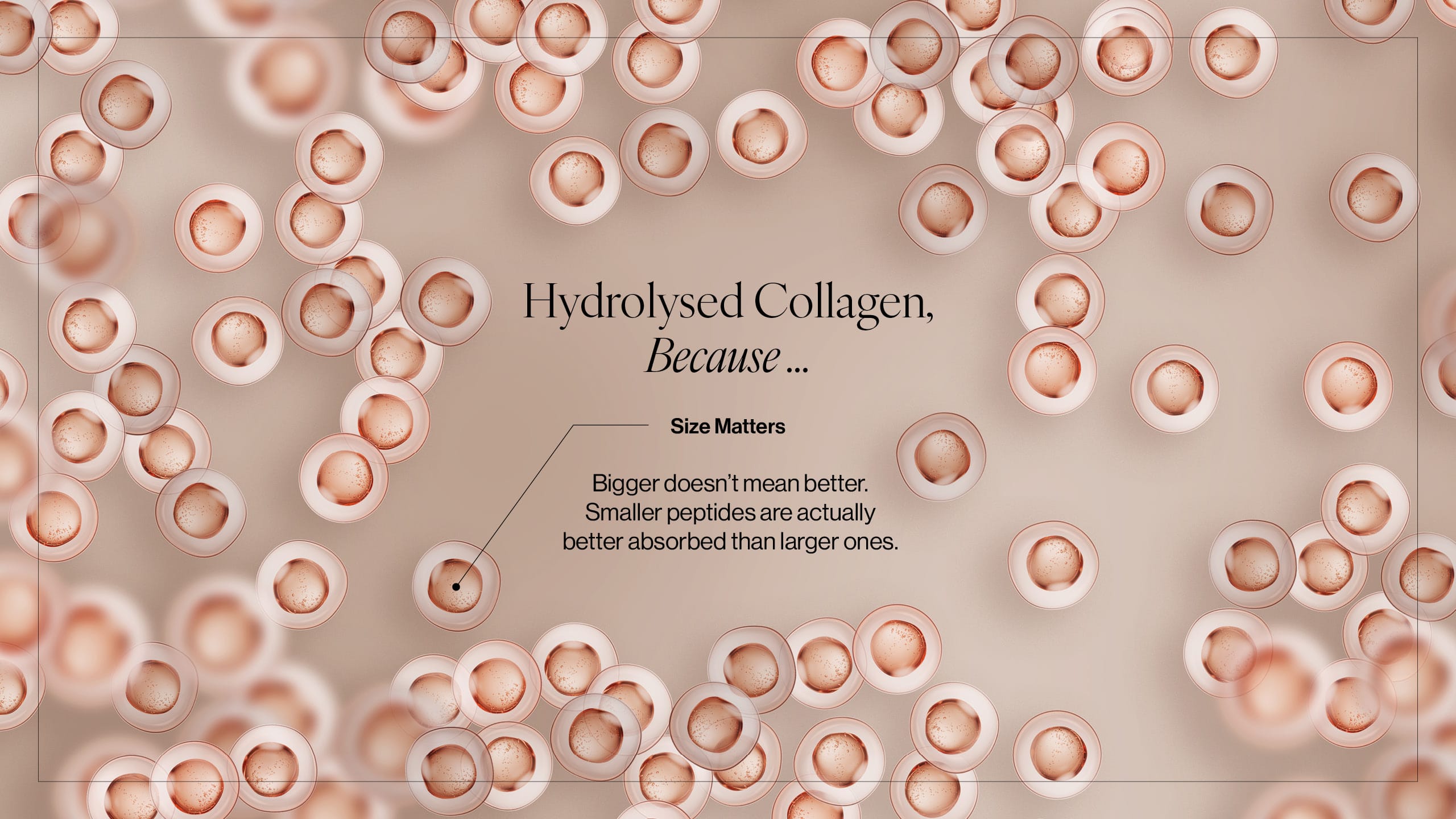 EverGlow Insider Guide page 5