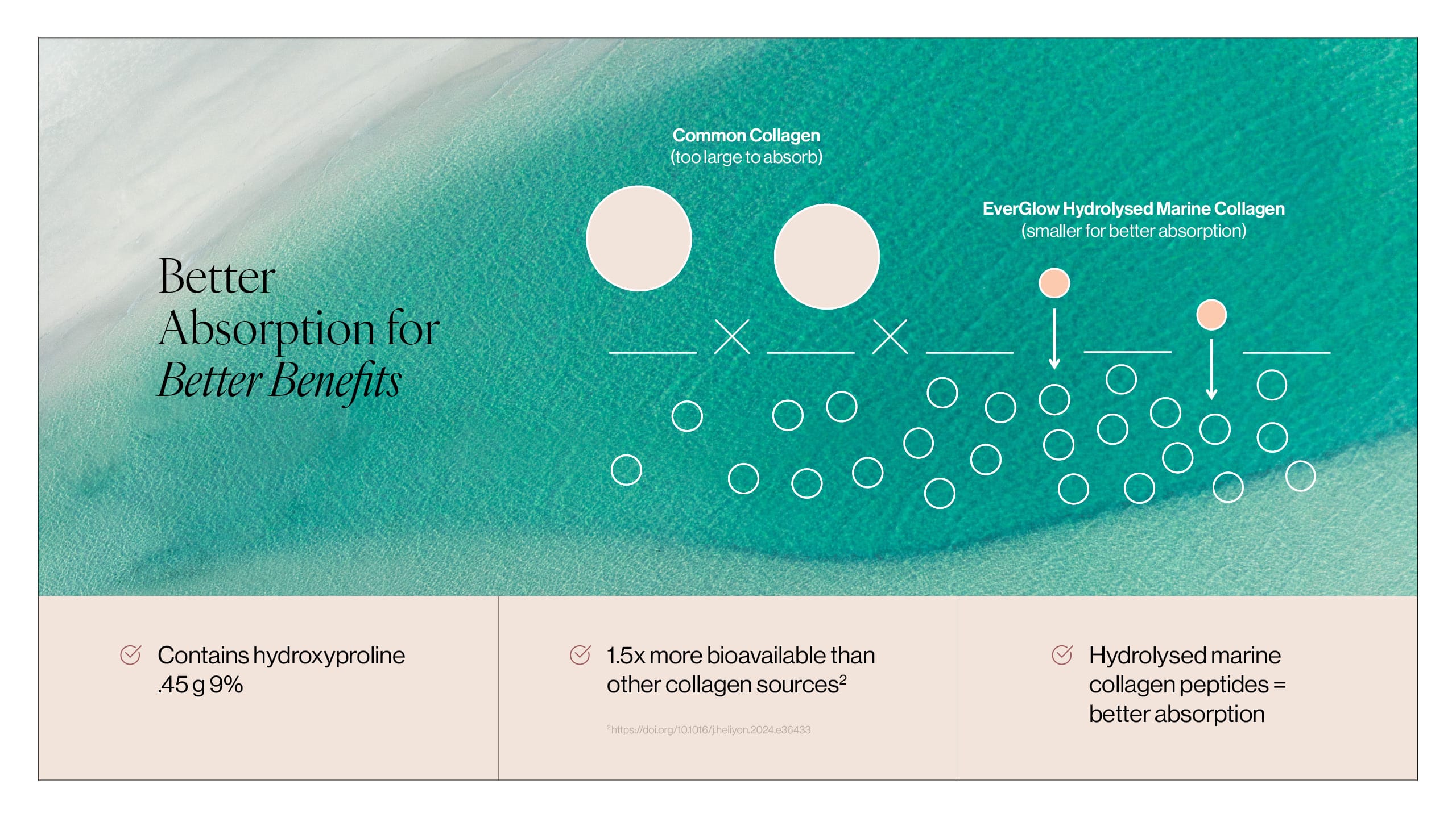 EverGlow Insider Guide page 6