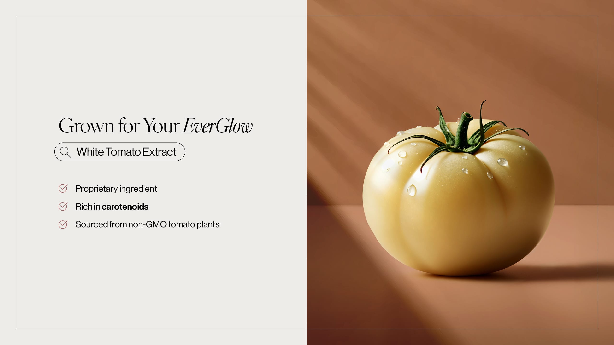 EverGlow Insider Guide page 9