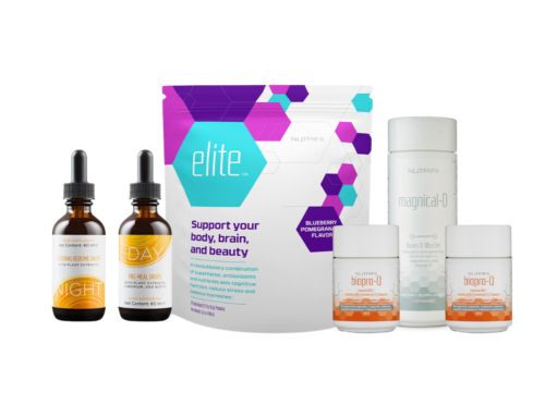 Weight Management From Scratch: A Gentle Starter for Beginners