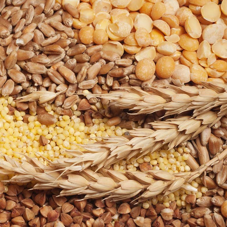 10g fibre blend plant-based