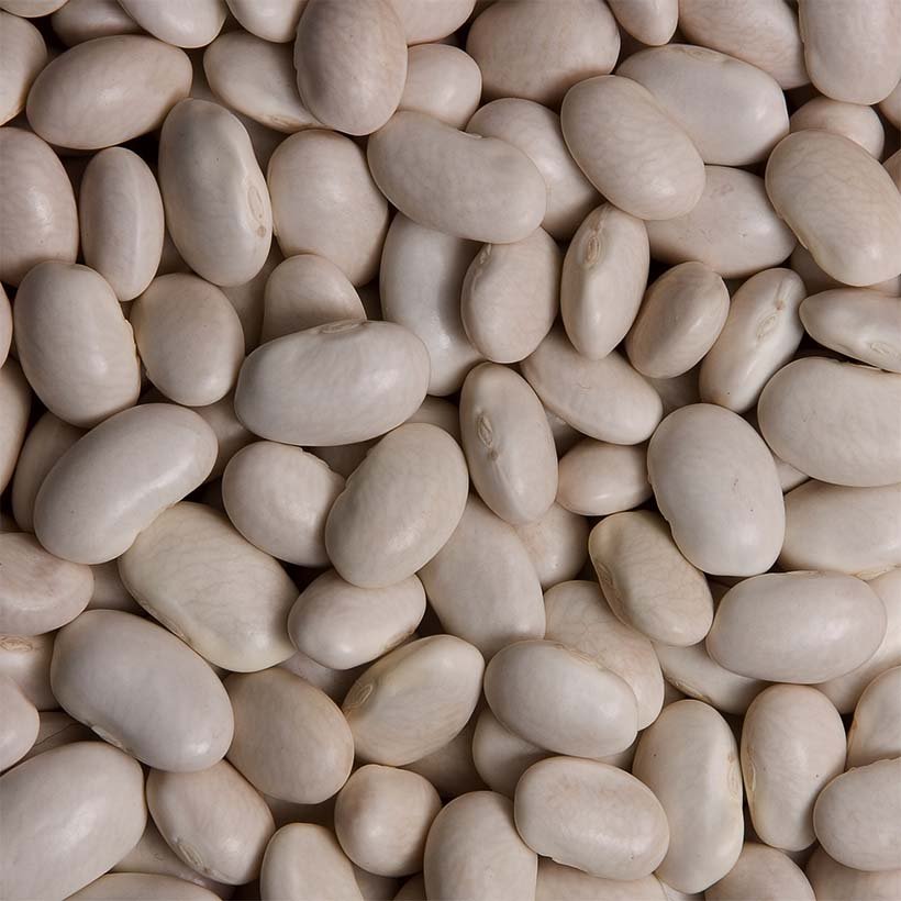White Kidney Bean Extract Australia