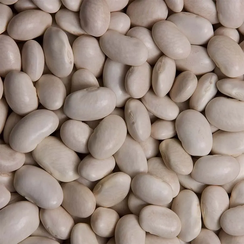 White Kidney Bean Extract