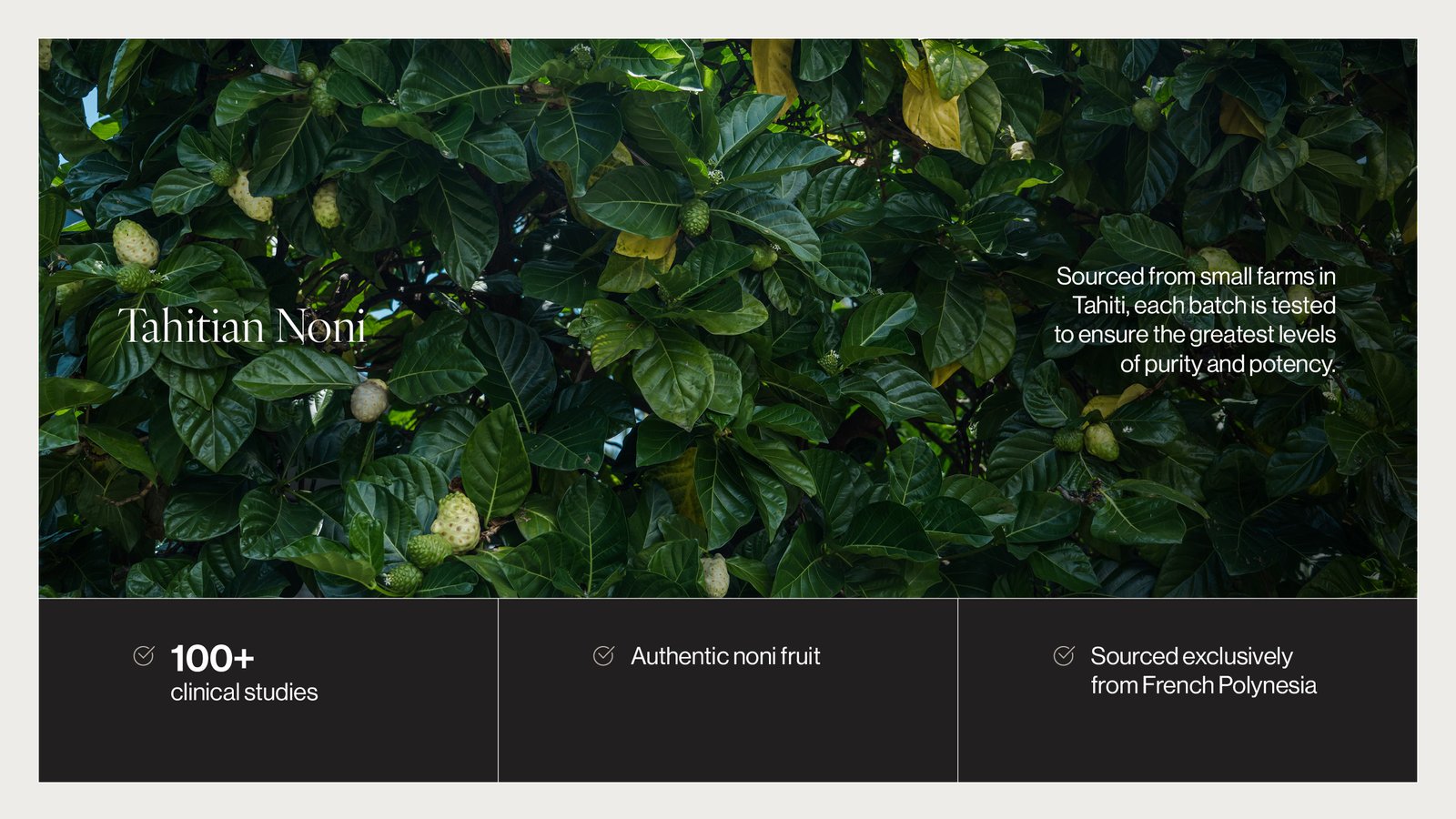 Glicotrol 10g fibre blend