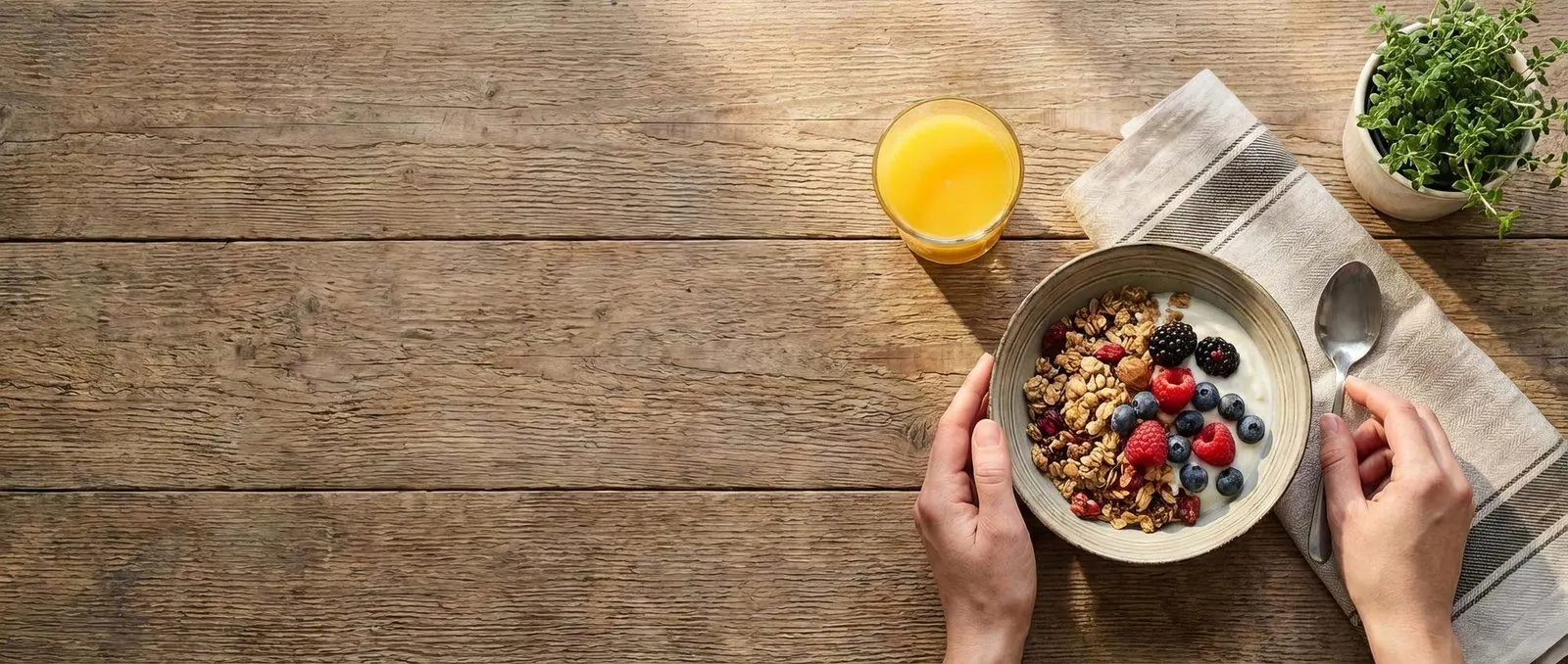 everyday gut health - The Wellness Store Australia team